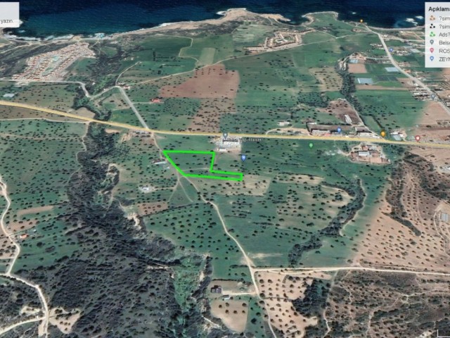 Mağusa Tatlısu bölgesinde super yatırımlık 8.5 Dönüm ARAZİ (Super investment 8.5 acres of land in Tatlisu region of Famagusta)