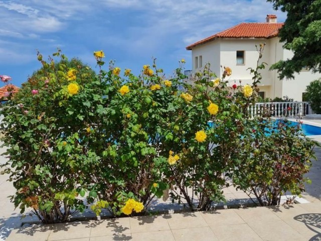 Wir freuen uns, diese freistehende Villa mit 4 Schlafzimmern in zweiter Meereslinie in der malerischen Gegend von Bahceli, Nordzypern, zum Verkauf anbieten zu können. Die Villa bef