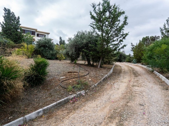 Girne Çatalköy Satılık 4 dönümlük bir arsa üzerinde iki güzel villa