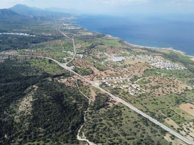 10.5 Decares of Land For Sale in Famagusta Tatlisu