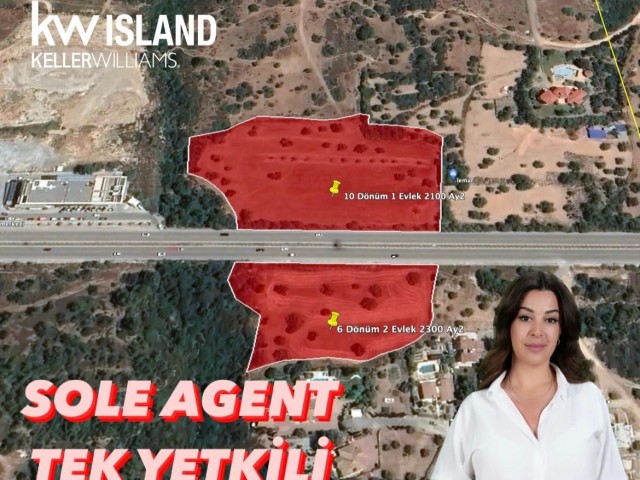 Olive Plots For Sale, On Girne Ring Road