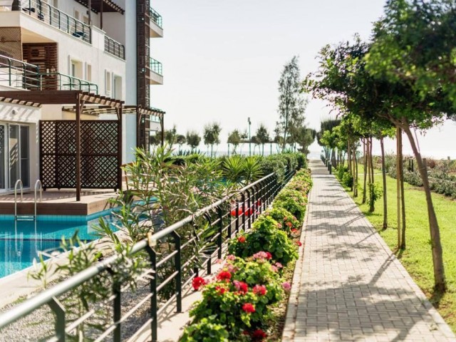 Thalassa Beach Resort'ta Deniz Manzaralı Lüks 3+1 Daire