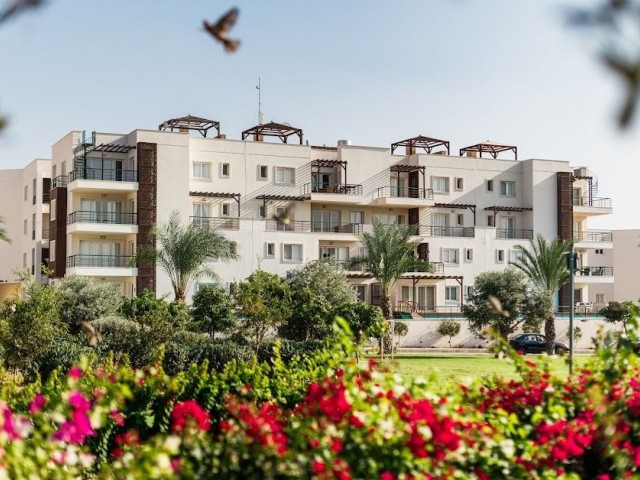 Lüks Thalassa Beach Resort dairesinde deniz manzaralı özel 2+1 daire