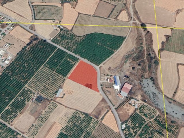 INVESTMENT LAND IN GÜZELYURT, ONE OF THE RARE REGIONS OF CYPRUS, 3 KM FROM THE SEA, SUBJECT TO CHAPT