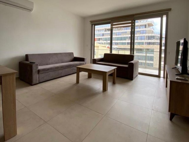 2+1 for rent in central area 