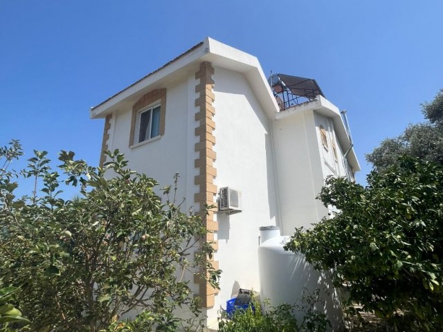 3+1 Detached Villa