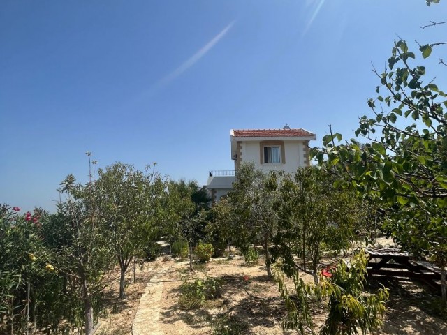 3+1 Villa Arapköy, Kyrenia