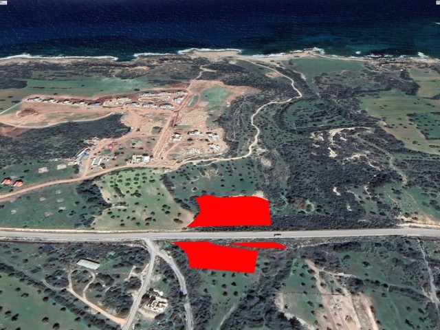 6 Acres 3 Evlek Investment Opportunity, Freshwater