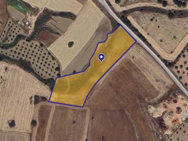 Investment Opportunity in Dikmen, Quality Land on the Way