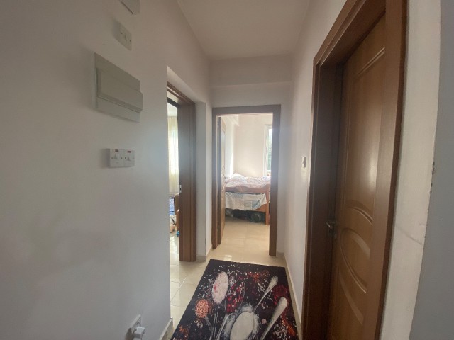 1+1 Flat In Hotels Area, Bafra