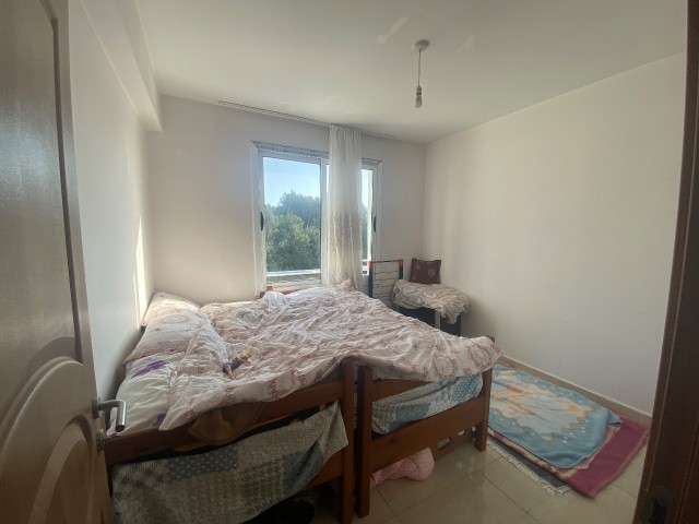 1+1 Flat In Hotels Area, Bafra