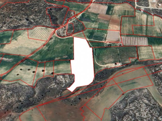 Agricultural land for sale in İskele Aygün neighborhood