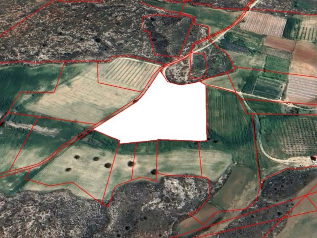 Agricultural land for sale in İskele Aygün neighborhood