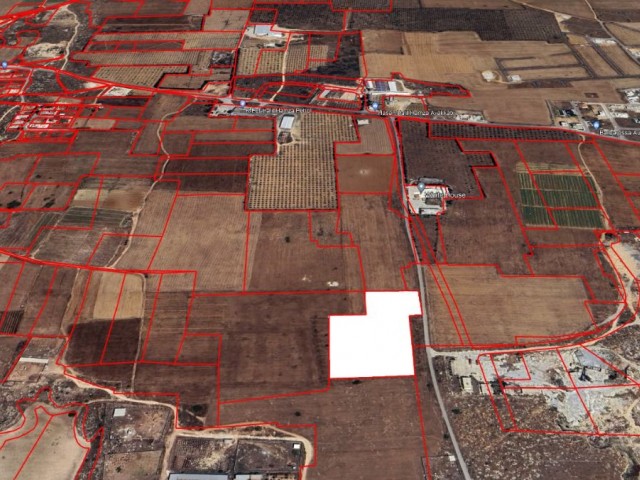 LANDWIRTSCHAFTLICHES GRUNDSTÜCK ZUM VERKAUF MIT HOHEM INVESTITIONSWERT IN FAMAGUSTA MUTLUYAKA