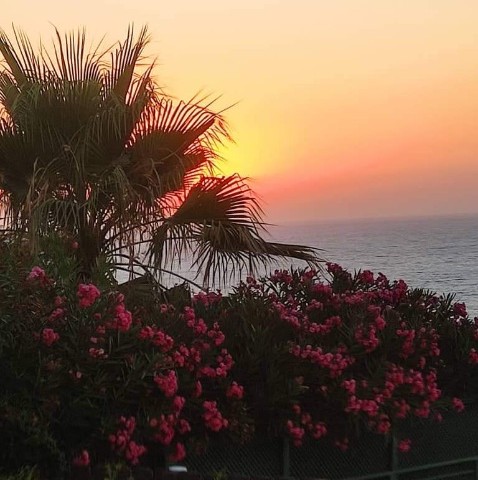 FÜR EIN FRIEDLICHES LEBEN AM MEER IN DER REGION GIRNE ALSANCAK. 4+1 KOMPLETT MÖBLIERTE VILLA ZU VERMIETEN, MIT PRIVATEM POOL, PRIVATEM GARTEN, MEERBLICK.