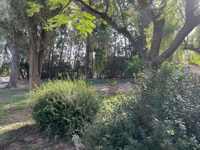 A SPECIAL OPPORTUNITY FOR GARDEN LOVERS, DETACHED FLAT IN GIRNE OZANKÖY WITH A TWO DECARE GARDEN AND 200 M2 AREA..