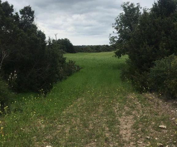 Strom zum Verkauf im Dorf Dipkarpaz fließt durch ihn hindurch