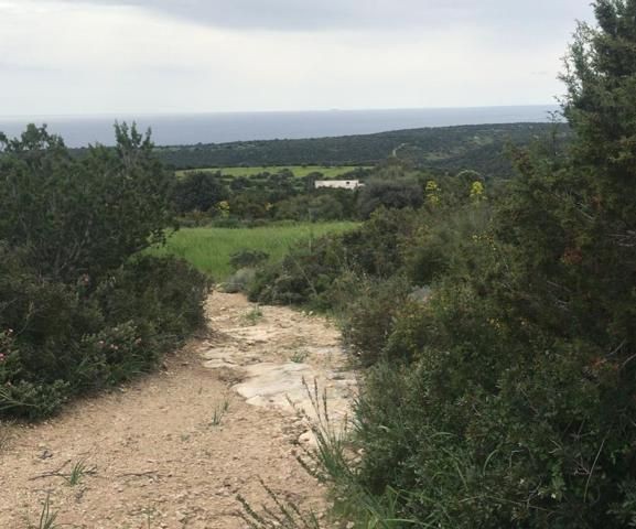 برق فروشی در روستای دیپکارپز از آن عبور می کند