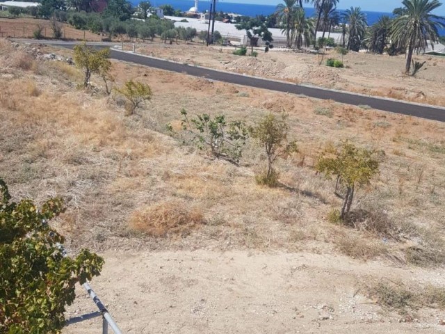 Ein halbes Hektar großes Grundstück mit Meerblick zum Verkauf in Tatlısu