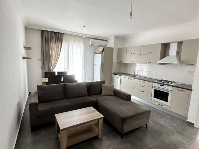 Furnished 1+1 Large Flat with Terrace for Rent in Girne Karaoğlanoğlu