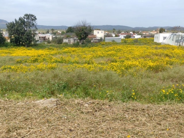 منطقه مسکونی برای فروش in Çayırova, ایسکله