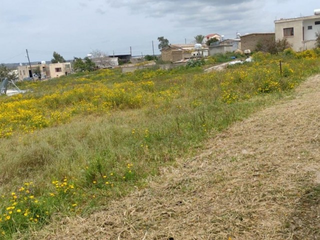 GELEGENHEITSKAUF - , INVESTITION, DIE SCHNELL EINE PRÄMIE MACHEN WIRD, AUF DER PUTICI STRASSE, GIBT ES EINE MEHRZWECK-LAND-INFRASTRUKTUR