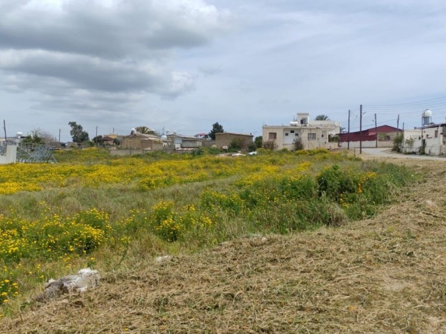 GELEGENHEITSKAUF - , INVESTITION, DIE SCHNELL EINE PRÄMIE MACHEN WIRD, AUF DER PUTICI STRASSE, GIBT ES EINE MEHRZWECK-LAND-INFRASTRUKTUR