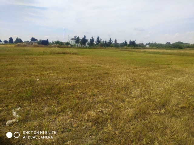 LAND INVESTMENT OPPORTUNITY, SUITABLE FOR HOUSING CONSTRUCTION, KUZUCUK OTUKEN