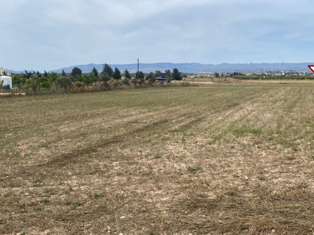 LAND INVESTMENT OPPORTUNITY, SUITABLE FOR HOUSING CONSTRUCTION, KUZUCUK OTUKEN