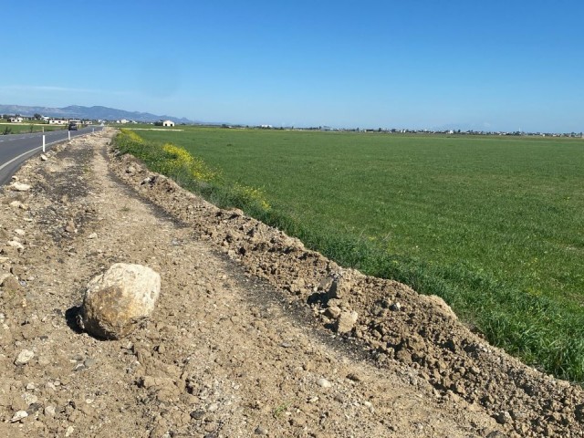 INVESTITIONSMÖGLICHKEIT IN GRUNDSTÜCKE, NEUE ASPHALTSTRASSE, KAUFMÖGLICHKEIT, DIE IN KURZER ZEIT EINE PREMIE ERGIBT, GRUNDSTÜCK FÜR MEHRZWECK