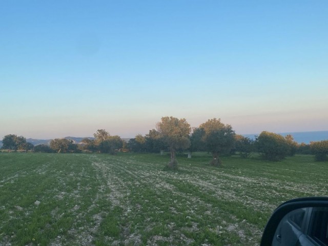 GRUNDSTÜCK-INVESTITIONSMÖGLICHKEIT, BLICK AUF DAS MEER UND DIE BUCHT, KAUFMÖGLICHKEIT, EINE PREMIE ZU ERHALTEN