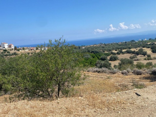 INVESTMENT OPPORTUNITY IN TURKISH KOCANLI LAND, BUYING OPPORTUNITY THAT WILL MAKE A PREMIUM IN A SHORT TIME, MULTI-PURPOSE LAND WITH SEA VIEW