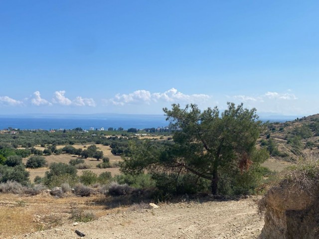 INVESTMENT OPPORTUNITY IN TURKISH KOCANLI LAND, BUYING OPPORTUNITY THAT WILL MAKE A PREMIUM IN A SHORT TIME, MULTI-PURPOSE LAND WITH SEA VIEW