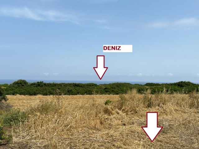 LAND INVESTMENT OPPORTUNITY, PURCHASING OPPORTUNITY WITH SEA VIEW THAT WILL MAKE A PREMIUM, THERE IS AN OFFICIAL ROAD