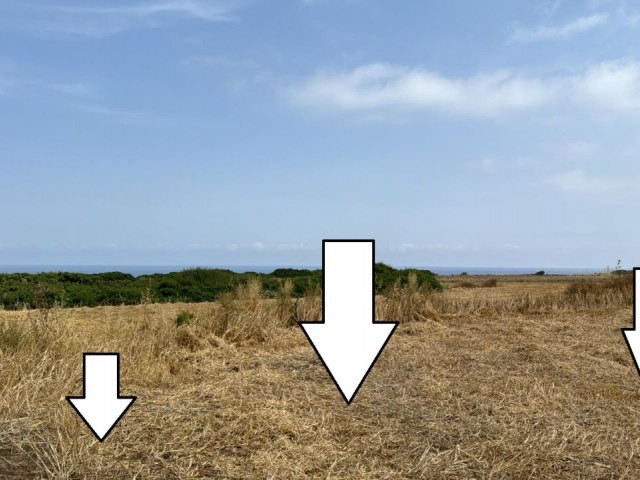 LAND INVESTMENT OPPORTUNITY, PURCHASING OPPORTUNITY WITH SEA VIEW THAT WILL MAKE A PREMIUM, THERE IS AN OFFICIAL ROAD