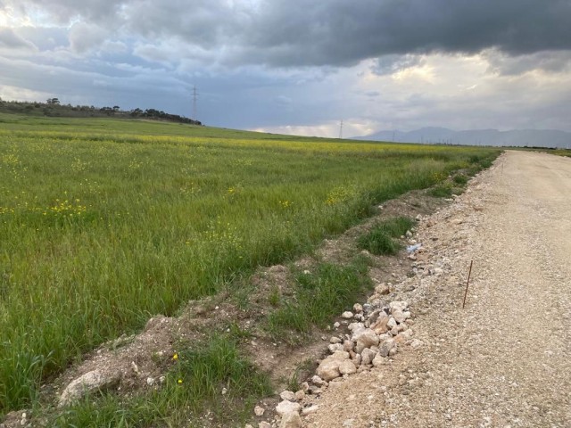 رشته برای فروش in Yıldırım, فاماگوستا