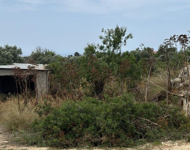 жилая зона Rasprodazha in Yeni Erenköy, Искеле