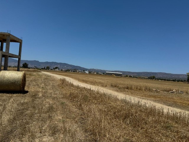 жилая зона Rasprodazha in Geçitkale, Фамагуста