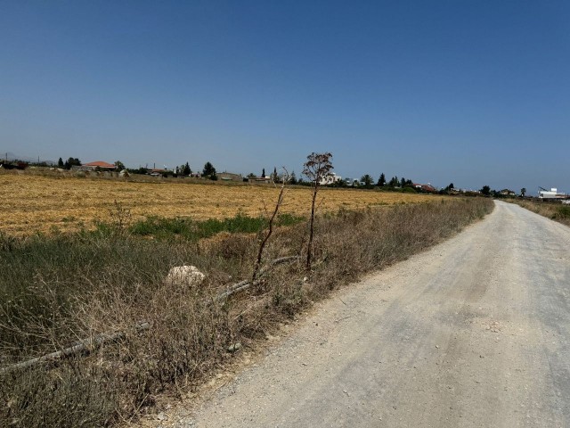 منطقه مسکونی برای فروش in Kuzucuk, ایسکله