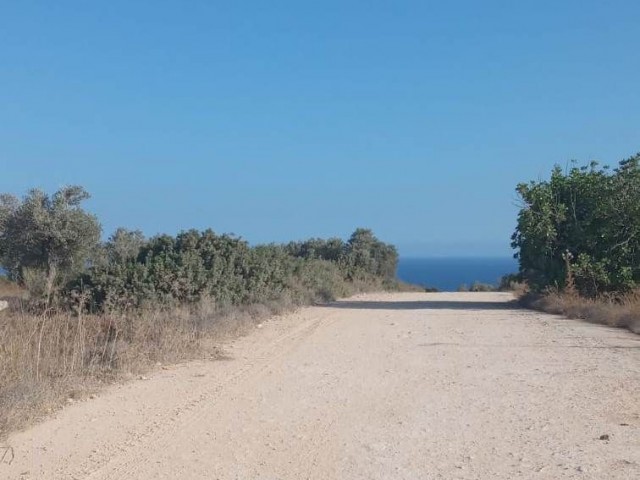 WITH SEA VIEW, INVESTMENT OPPORTUNITY IN LAND, PURCHASING OPPORTUNITY THAT WILL MAKE A PREMIUM IN A SHORT TIME, THERE IS AN OFFICIAL ROAD
