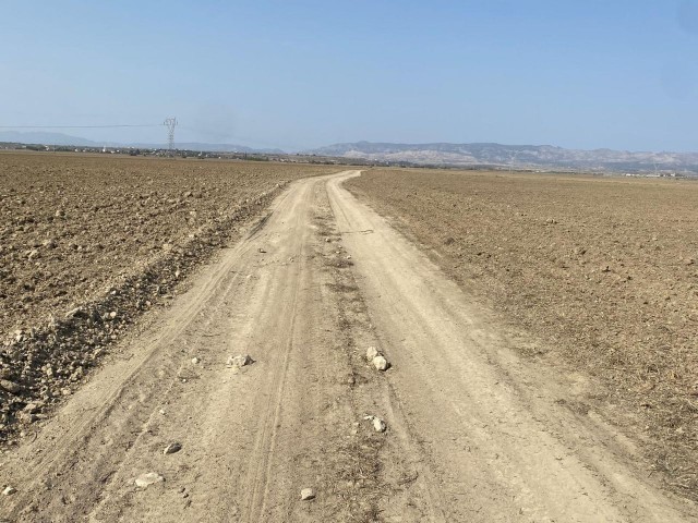 Feld Zu verkaufen in Long Beach, Iskele