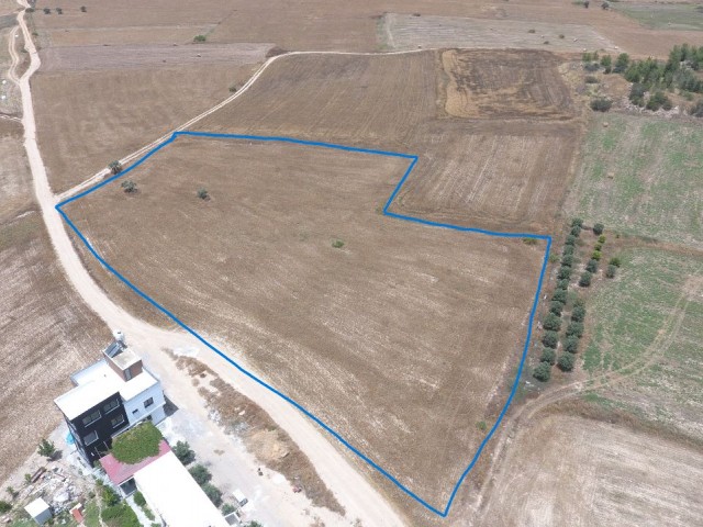 Feld Zu verkaufen in Akova, Famagusta