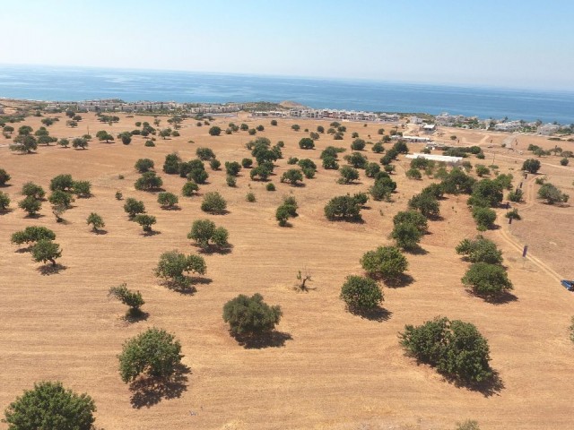 Herrliches Grundstück mit freiem Meerblick in der Region Tatlısu