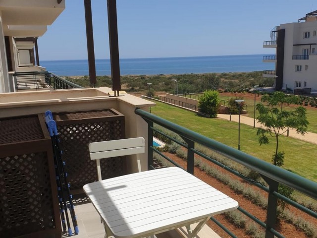 Apartment 1+1 with sea view in Thalassa Beach Resort.