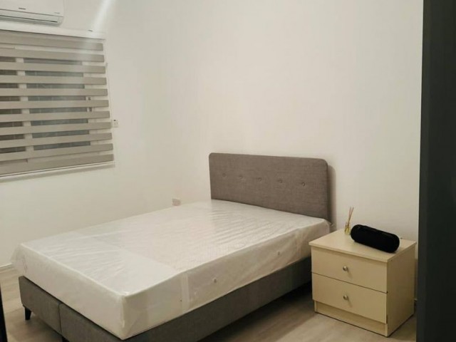 Apartment 2+1 newly renovated and furnished in Safakoy