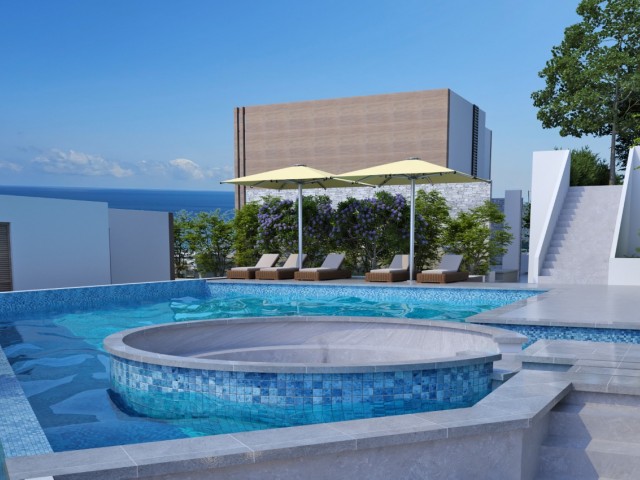 1+1 mini villa with swimming pool for sale