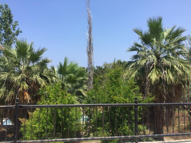 Flat To Rent in Ozanköy, Kyrenia