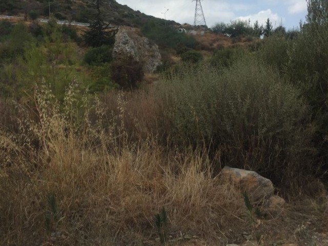 Field For Sale in Yukarı Girne, Kyrenia