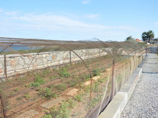 Tatlısu bölgesinde denize sıfır  7 yatak odalı ve 2 yatak odalı yardımcı evi mevcut  havuzlu villamız yerinde görmek için 