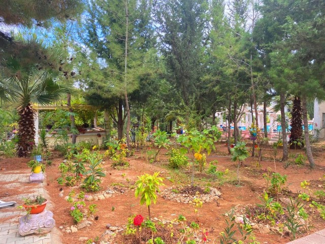 Halb freistehend Mieten in Çatalköy, Kyrenia